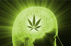 Terpenes (and Cannabis Strains) For Headaches and Migraines!