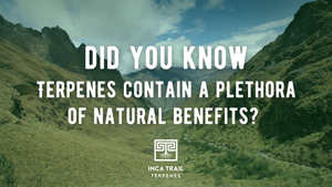 Terpenes Natural Benefits